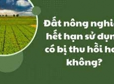 ĐẤT NÔNG NGHIỆP HẾT HẠN SỬ DỤNG CÓ BỊ THU HỒI KHÔNG?