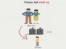 CON CỦA CON NUÔI CÓ ĐƯỢC THỪA KẾ THẾ VỊ TÀI SẢN CỦA CHA MẸ NUÔI KHÔNG?