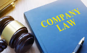 DỊCH VỤ LUẬT SƯ RIÊNG CHO DOANH NGHIỆP TẠI QUẬN THỦ ĐỨC, THÀNH PHỐ HỒ CHÍ MINH