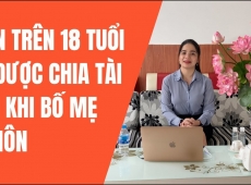 CON CÓ ĐƯỢC CHIA TÀI SẢN KHI BỐ MẸ LY HÔN?