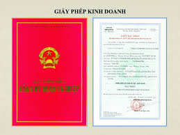 DỊCH VỤ XIN GIẤY PHÉP KINH DOANH, GIẤY PHÉP ĐẦU TƯ CHO DOANH NGHIỆP TẠI TPHCM