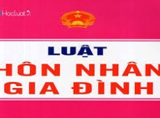 QUY ĐỊNH PHÁP LUẬT VỀ HÔN NHÂN THỰC TẾ